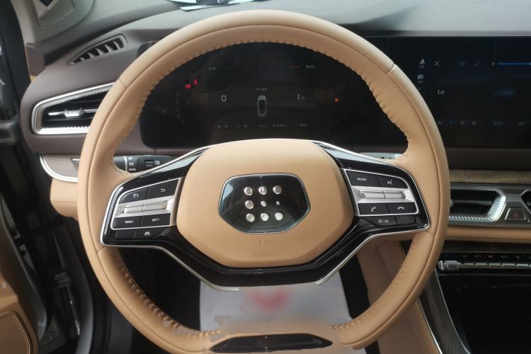 Used Landian E5 2024 Honor Edition 100KM Premium Model 7 Seats
