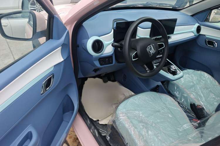 Used Dongfeng NAMMI BOX 2022 Light Wind Edition 201KM Advanced Model
