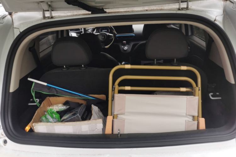 Used ORA White Cat 2020 401 km Flagship Version
