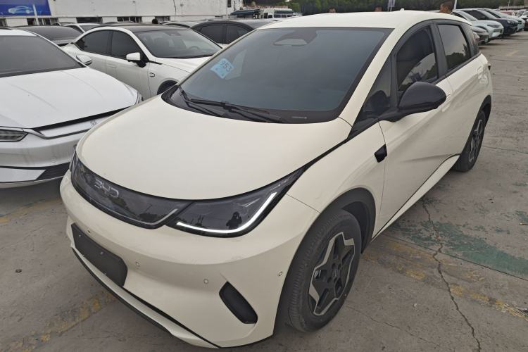 Used BYD Dolphin 2025 Smart Drive Version 420 km Freedom Edition