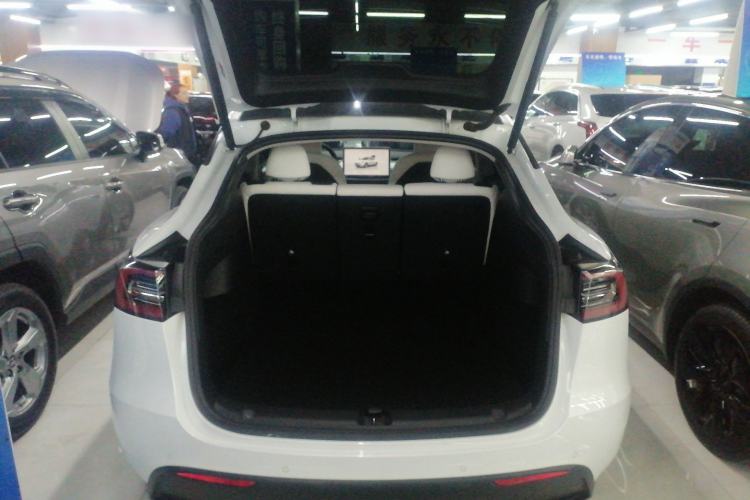 Used Tesla Model Y 2021 Revised Version 2 Long-Range All-Wheel-Drive Edition
