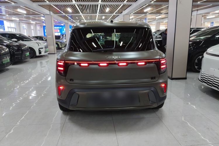 Used smart #5 2024 Jungle Realm Limited Edition