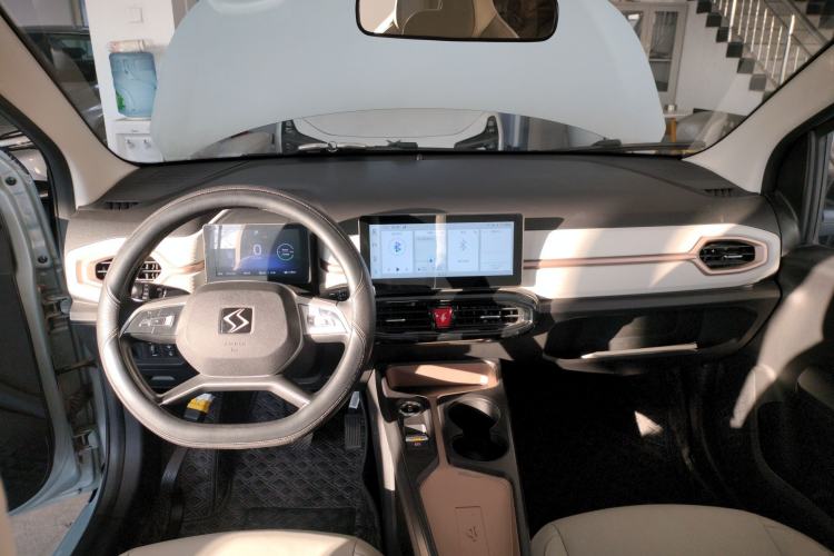 Used SOL E10X 2022 Flower Fairy Style Baby's Breath
