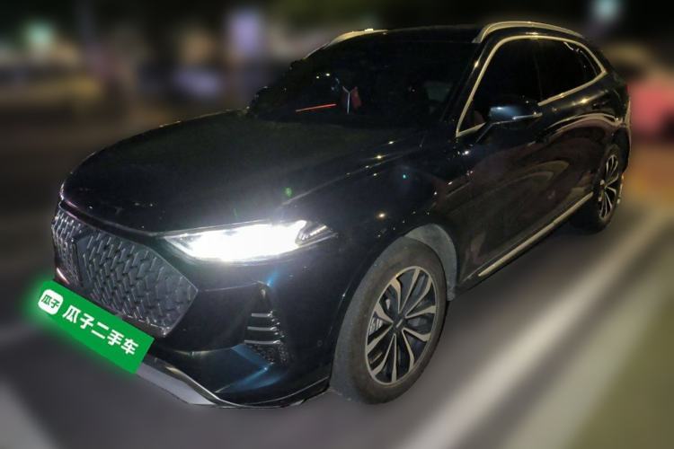 Used Wey Mocha 2021 2.0T Four-Wheel Drive Premium Edition