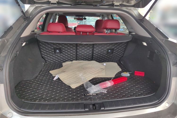 Used Lexus RX 2020 300 Two-Wheel Drive Elite Edition China VI Standard