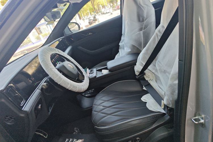 Used Hengchi 5 2022 Ultra-Luxury Edition Left Front Seat