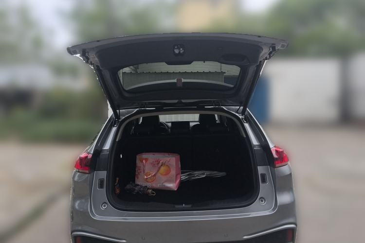 Used Wey VV5 2020 1.5T Two-Wheel Drive Color Pioneer