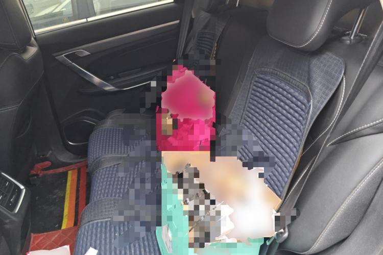 Used Farizon FX 2020 1.8T Smart Connect Edition 4 Seats Left Rear Seat