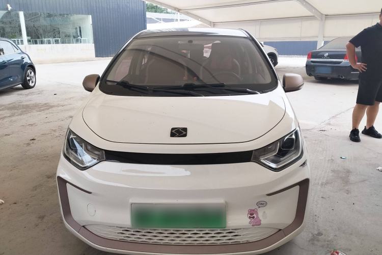 Used SOL E10X 2022 Flower Fairy Design Four-Leaf Clover