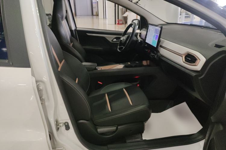 Used SOL E10X 2022 Flower Fairy Design Sunflower