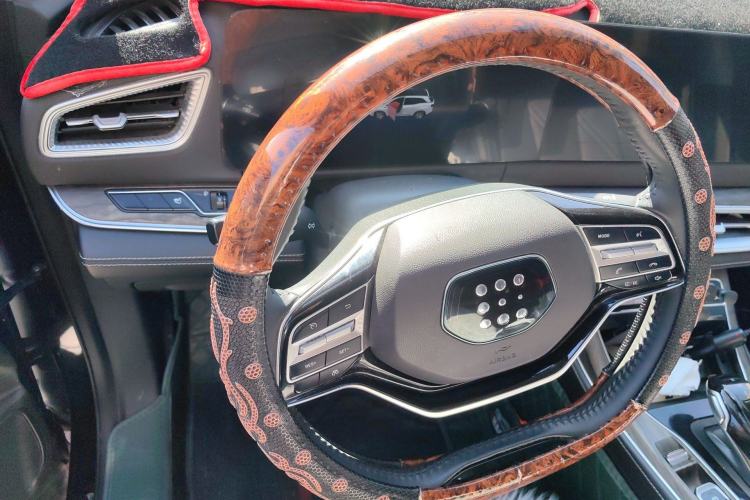 Used Landian E5 2024 Honor Edition 100KM Comfort Model 7 Seats Steering Wheel