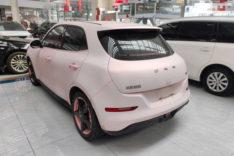 Used ORA Good Cat 2024 401 km Luxury Version