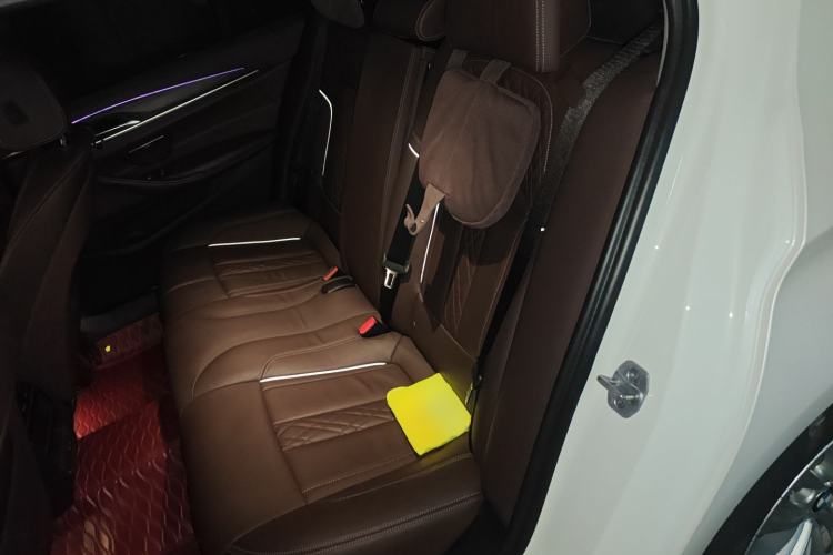 Used BMW 5 Series 2020 530Li Leading Edition Luxury Package Left Rear Seat