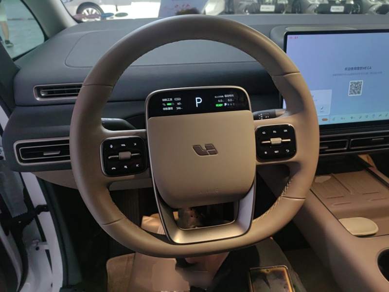 Used Li Auto MEGA 2025 Home Family Special Edition — 10