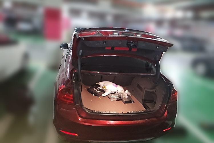 Used BMW 3 Series 2015 316Li Fashion Model
