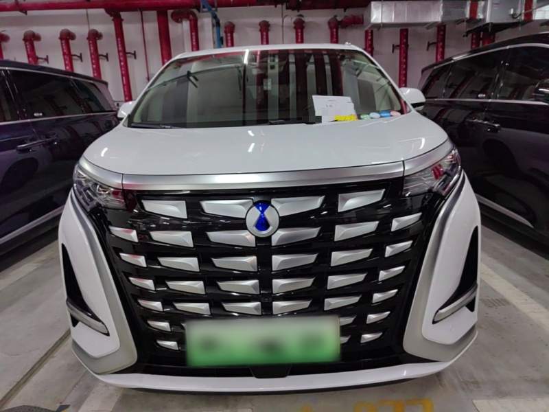 Used Denza D9 2024 DM-i 970 Luxury Model — 2