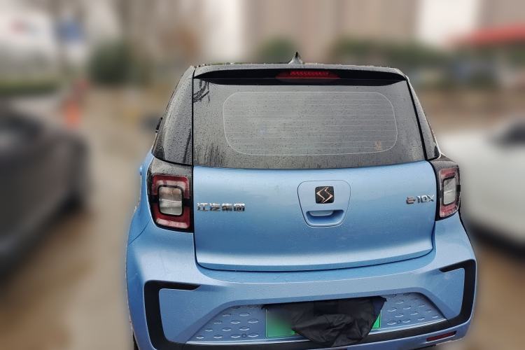 Used SOL E10X 2022 Flower Fairy Design Four-Leaf Clover
