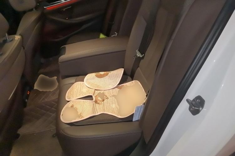 Used BMW 5 Series 2020 525Li M Sport Package