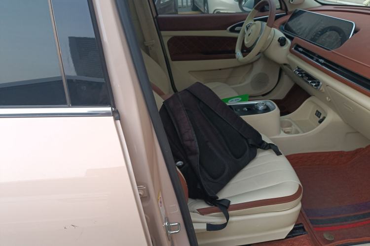 Used ORA Good Cat 2021 400km Standard Range Athena Edition Lithium-Ion Battery
