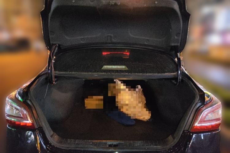 Used Nissan Teana 2013 2.0L XE Fashion Edition
