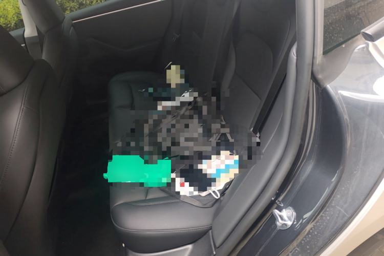 Used Tesla Model 3 2023 Rear-Wheel-Drive Version