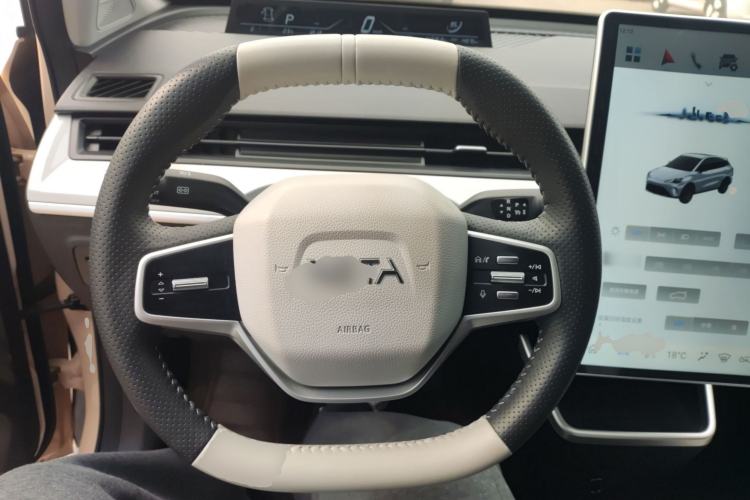 Used NETA AYA 2023 318 Lite Steering Wheel