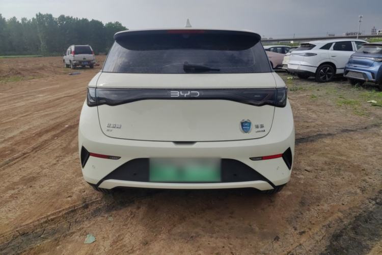 Used BYD Dolphin 2025 Intelligent Driving Version 520km Range Knight Edition Rear