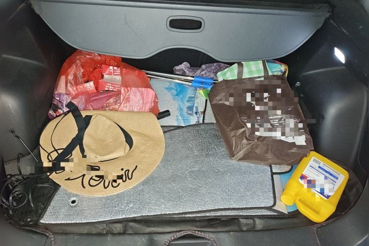 Used BORGWARD BX5 2017 20TGDI Automatic Two-Wheel Drive Pioneer Edition
