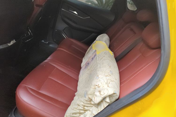 Used FORTHING T5 EVO 2021 1.5TD DCT Starry Edition
