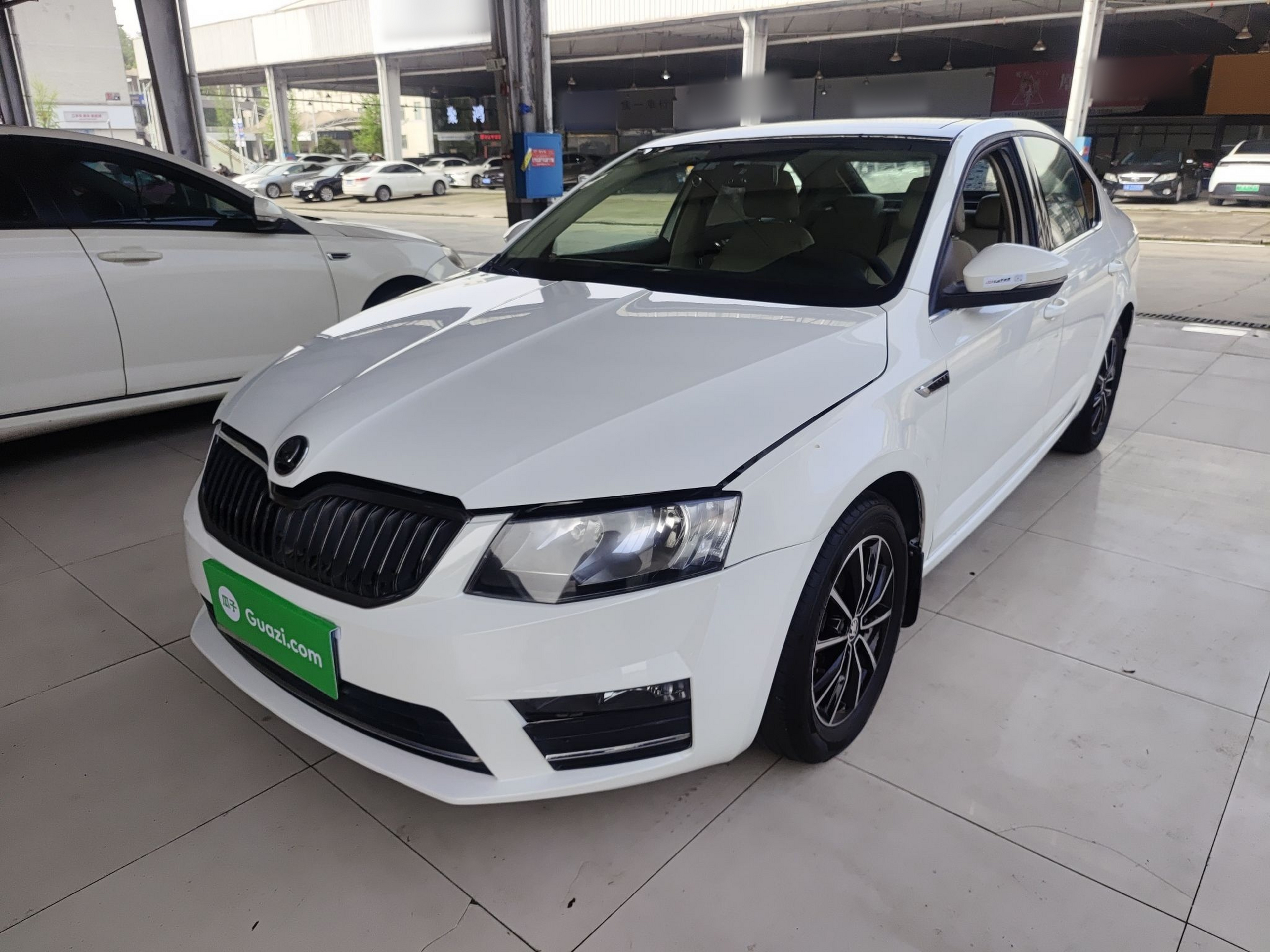 Parte inferior delantera