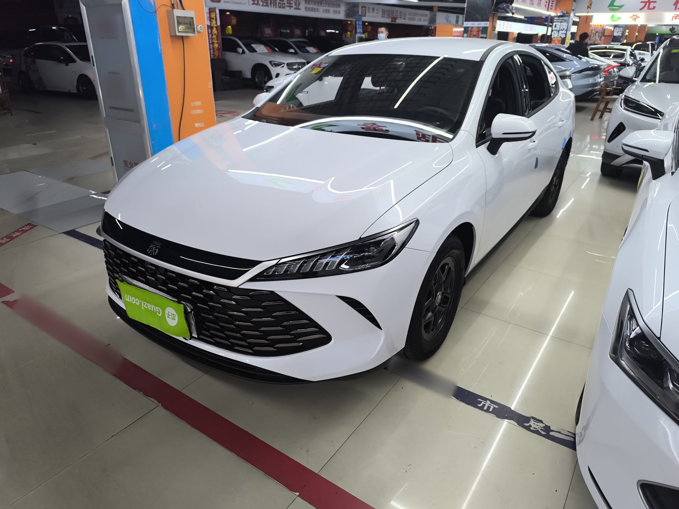 Parte inferior delantera