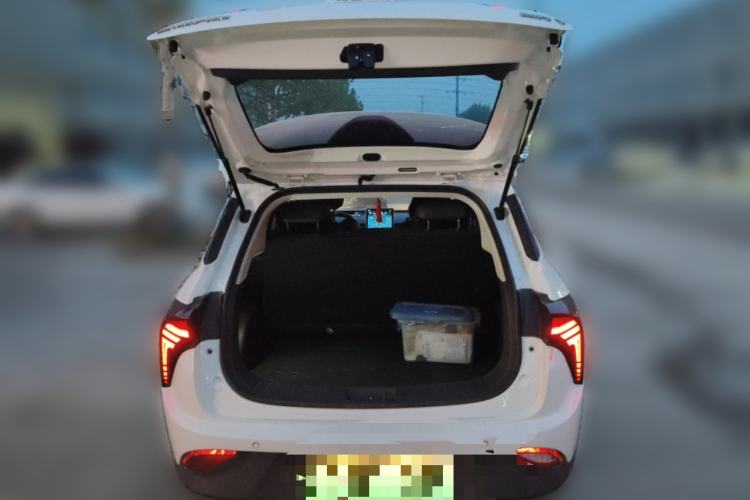 Used NETA V 2021 Long-Range Entertainment Edition Upgrade Model Trunk