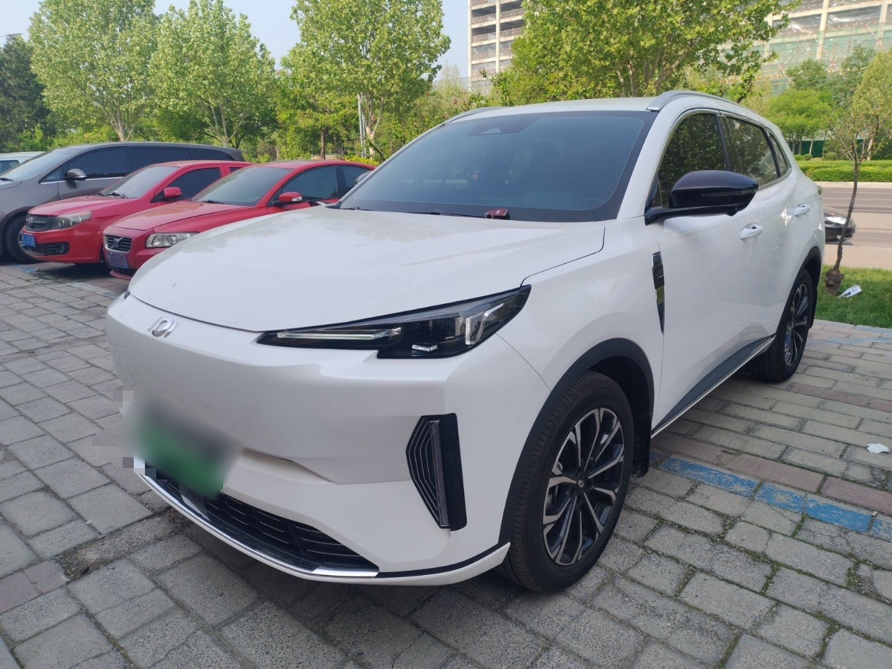 Parte inferior delantera