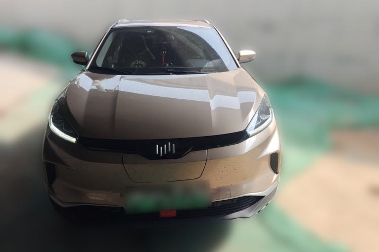 Used WM Motor EX5 2019 EX5 Lite Exploration Edition 520