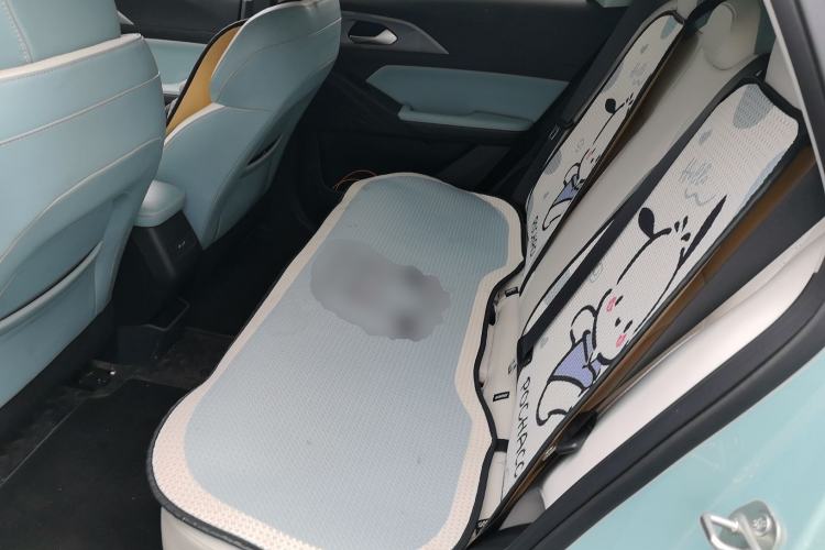 Used Geometry E Firefly 2023 401KM Linglong Tiger 5-Seater Left Rear Seat