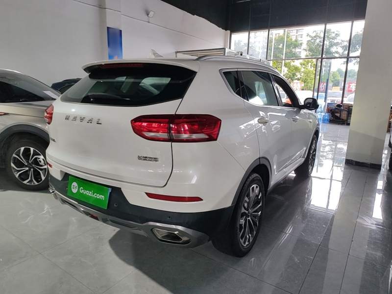 Used Haval H6 2020 1.5 GDIT Automatic Platinum Luxury Edition — 6