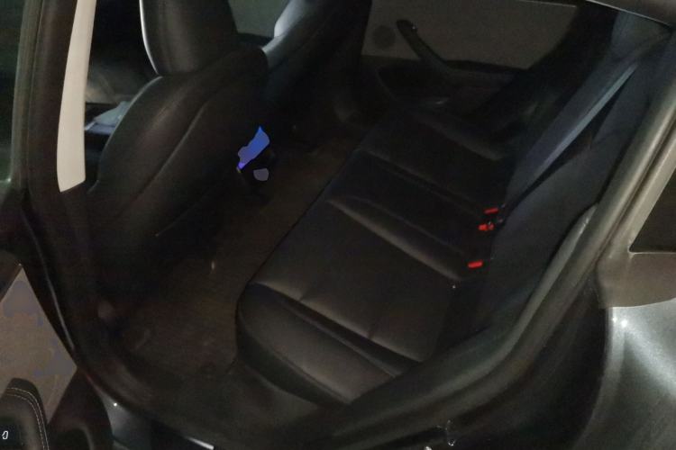Used Tesla Model 3 2025 Rear-Wheel-Drive Version Left Rear Seat