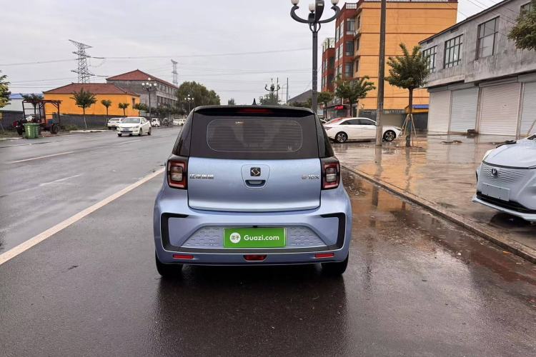 Used SOL E10X 2022 Flower Fairy Design Four-Leaf Clover