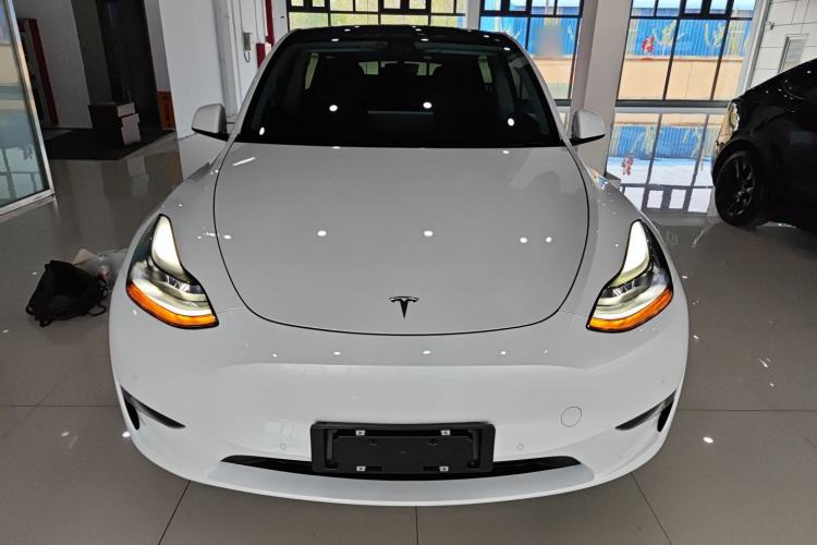Used Tesla Model Y 2021 Long-Range All-Wheel-Drive Version 3D7