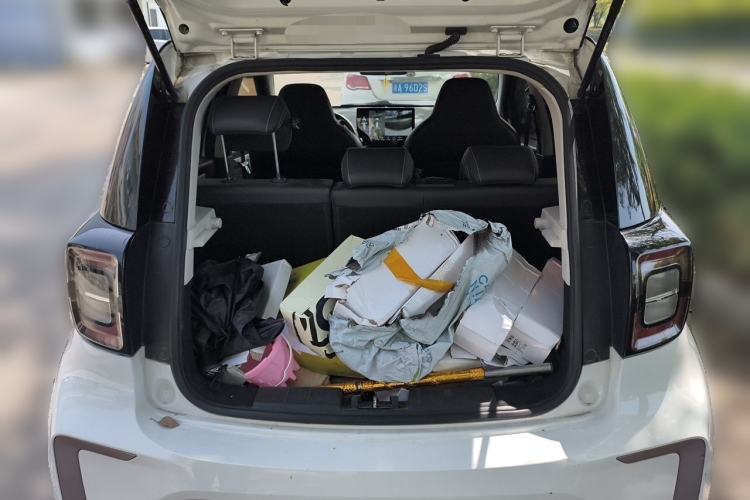 Used SOL E10X 2022 Flower Fairy Design Sunflower
