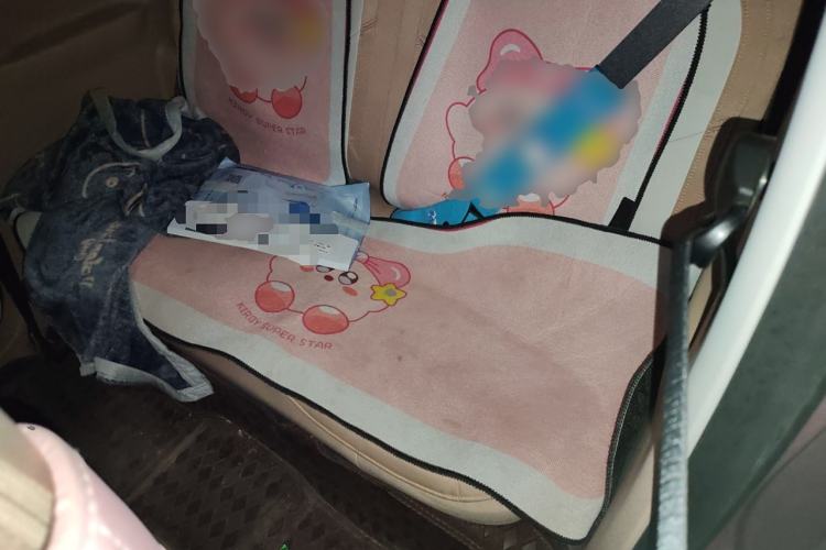 Used Geely Galaxy Panda 2024 Panda Mini 200km Endurance Bear
