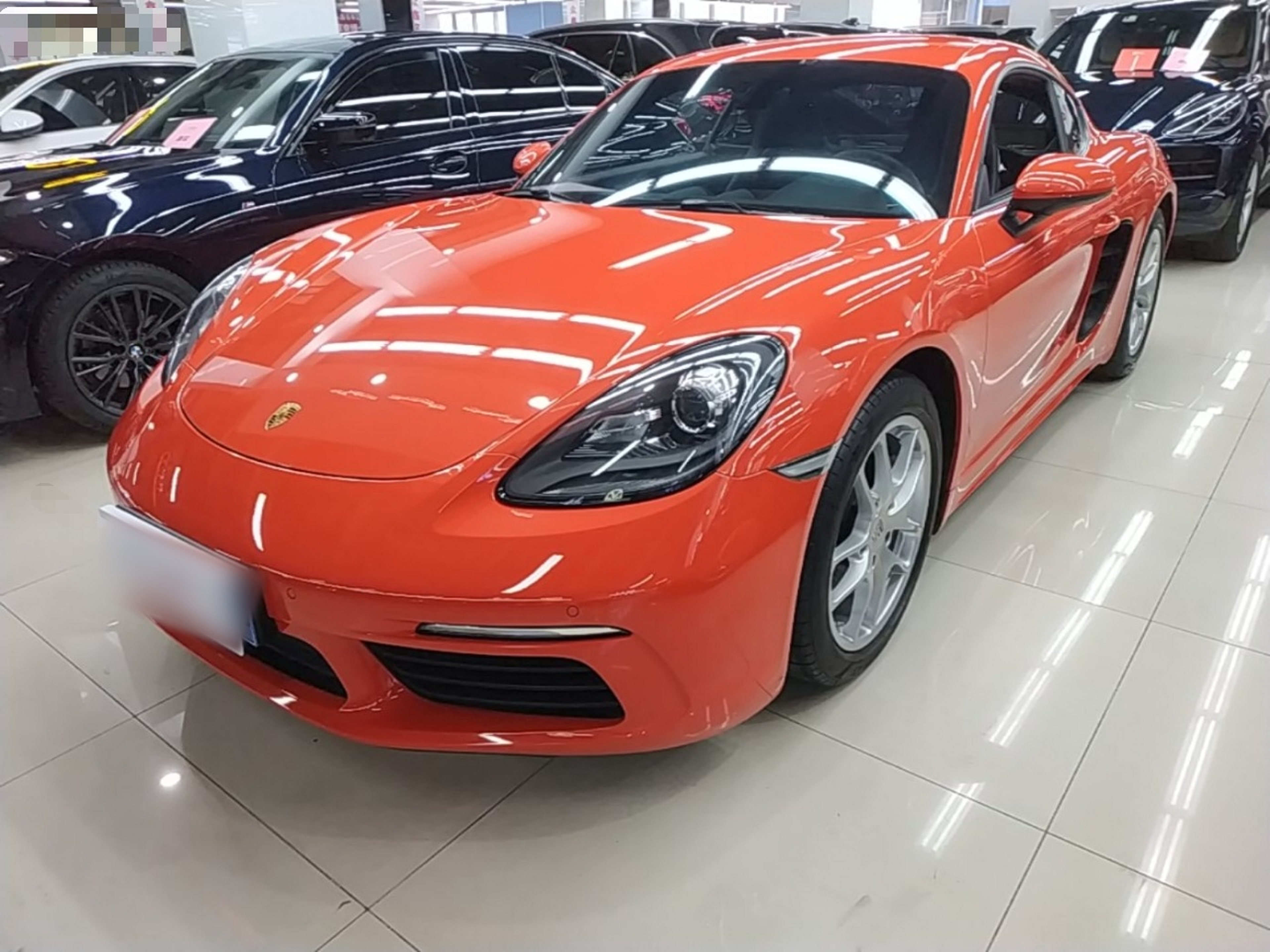 Parte inferior delantera