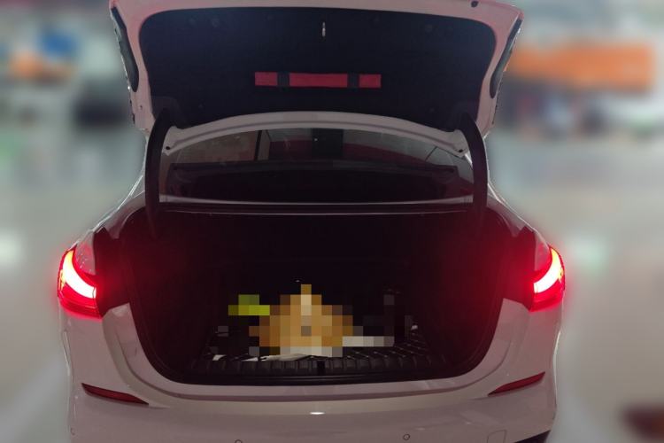 Used BMW 2 Series 2021 225i 4-Door Coupe M Sport Package
