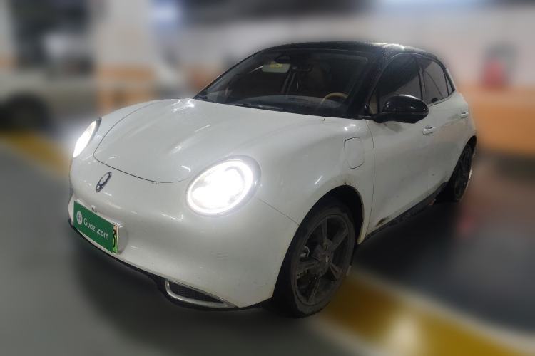 Used ORA Good Cat 2024 401 km Luxury Version