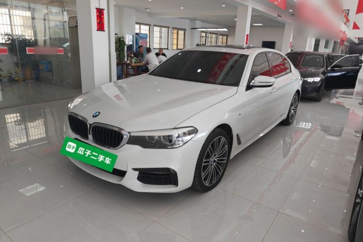 Used BMW 5 Series 2019 530Li Leading Model M Sport Package