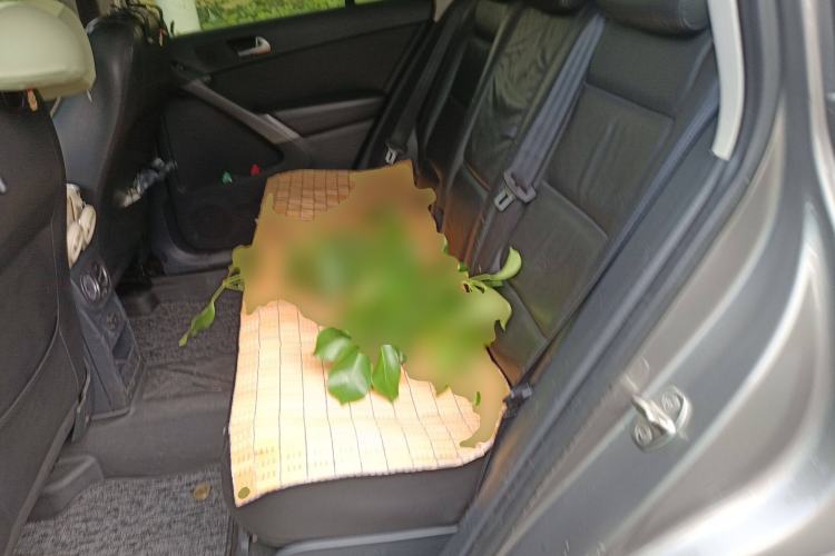 Used Volkswagen Tiguan 2010 1.8 TSI Automatic Two-Wheel Drive Urban Edition
