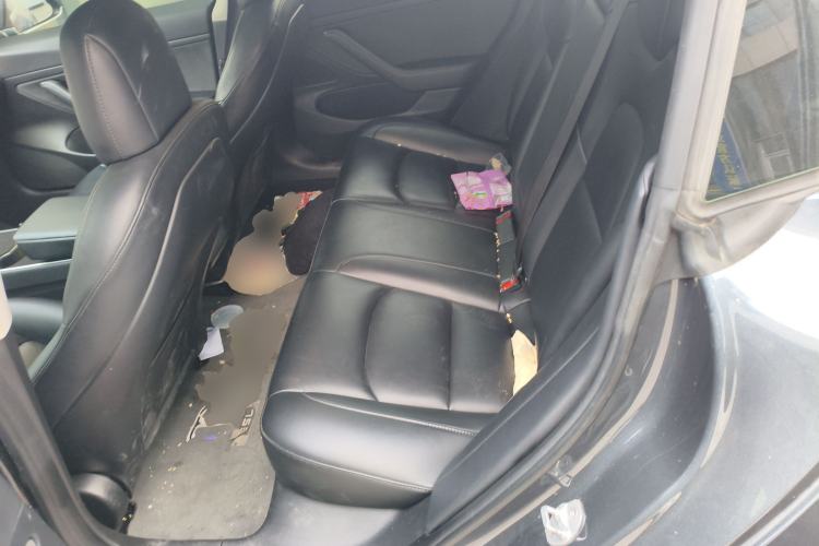 Used Tesla Model 3 2020 Standard Range Rear-Wheel Drive Upgraded Version