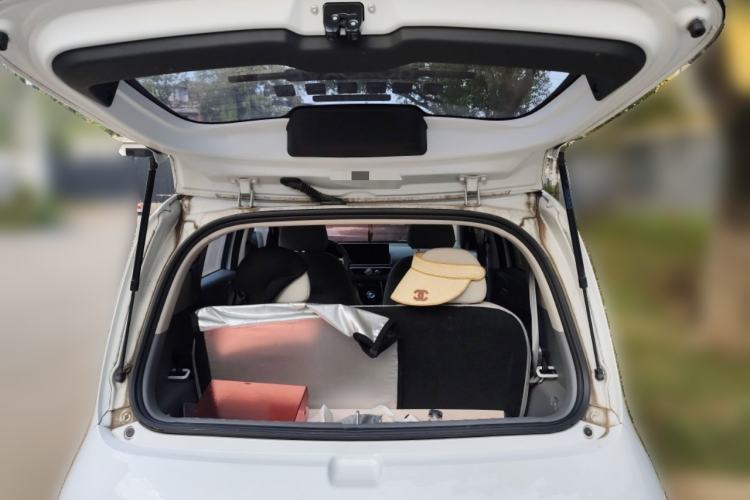 Used ORA White Cat 2020 305 km Luxury Version