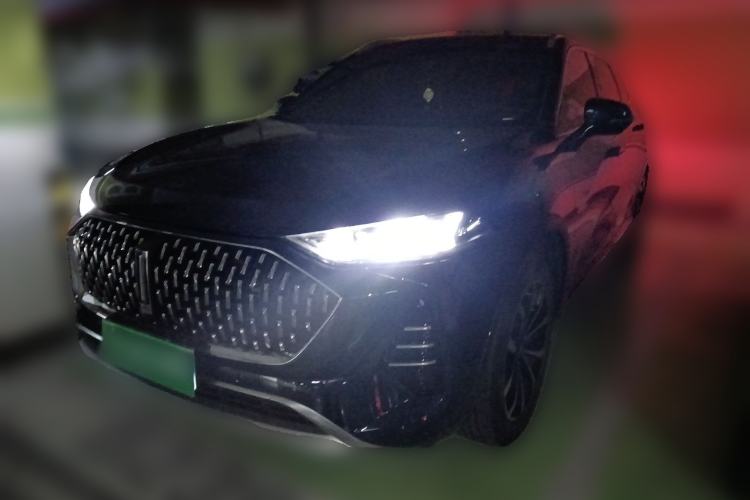 Used Wey Mocha 2021 2.0T Two-Wheel-Drive Ultra-Strong Version