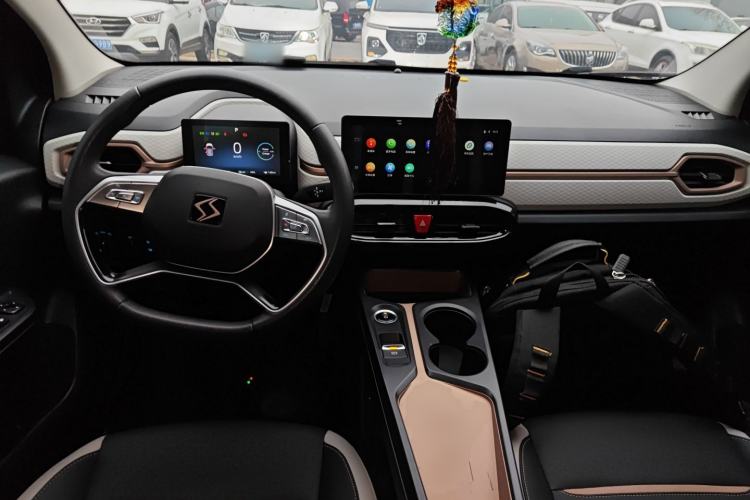 Used SOL E10X 2022 Flower Fairy Design Four-Leaf Clover